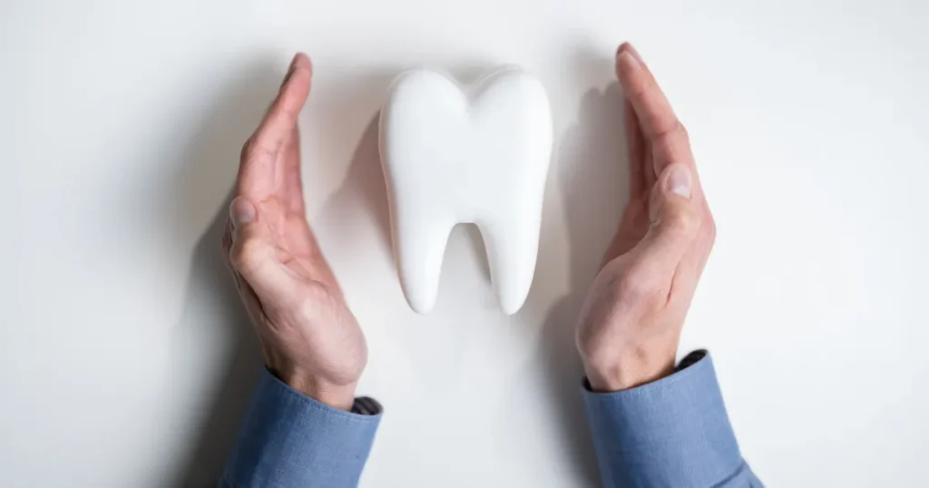 Hands Cradling Fake Tooth